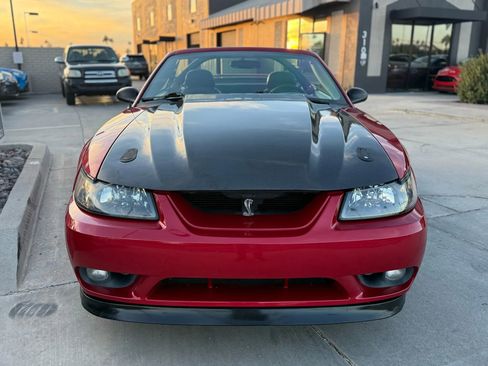 Used 2001 Ford Mustang Cobra image 9