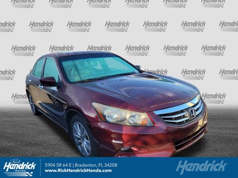 Used 2011 Honda Accord EX-L image 1