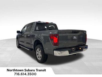 Used 2025 Ford F150 XLT w/ Equipment Group 301A Standard