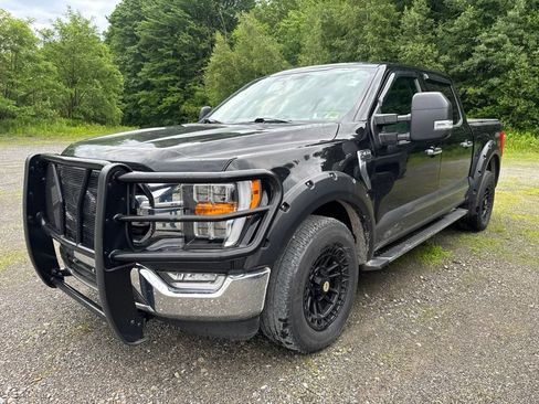 Used 2021 Ford F150 XLT w/ Equipment Group 302A High AWD/4WD image 1