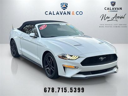 Used 2019 Ford Mustang Premium