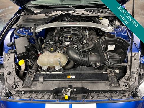 Used 2017 Ford Mustang Shelby GT350 RWD image 14