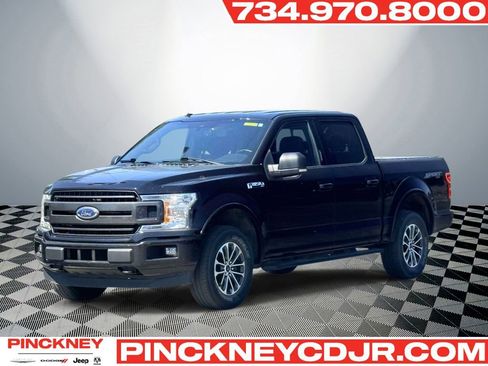 Used 2019 Ford F150 XLT w/ Equipment Group 302A Luxury AWD/4WD image 1