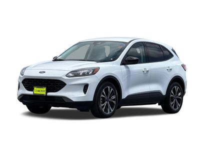 Used 2022 Ford Escape SE w/ SE Sport Appearance Package