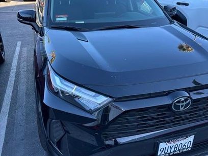 Used 2025 Toyota RAV4 XLE