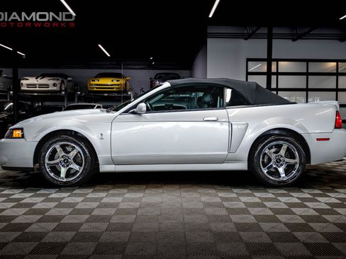 Used 2004 Ford Mustang Cobra RWD image 78