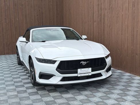 Used 2025 Ford Mustang Premium RWD image 13