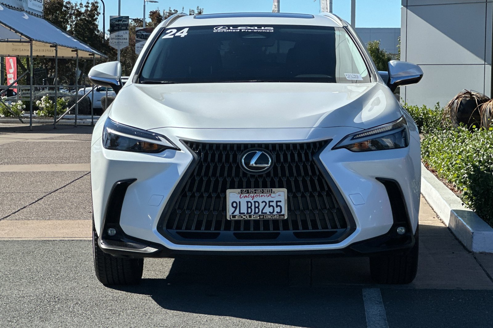 Certified 2024 Lexus NX 250 FWD image 6