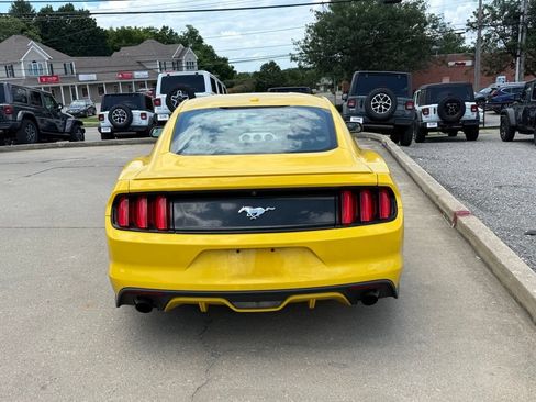 Used 2017 Ford Mustang Premium w/ Wheel & Stripe Package RWD image 7
