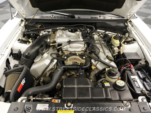 Used 2001 Ford Mustang Cobra RWD image 3