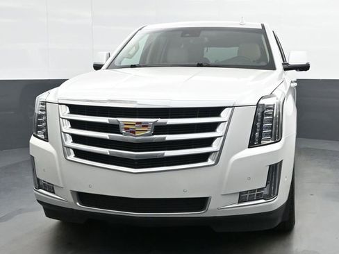 Used 2019 Cadillac Escalade Luxury image 3