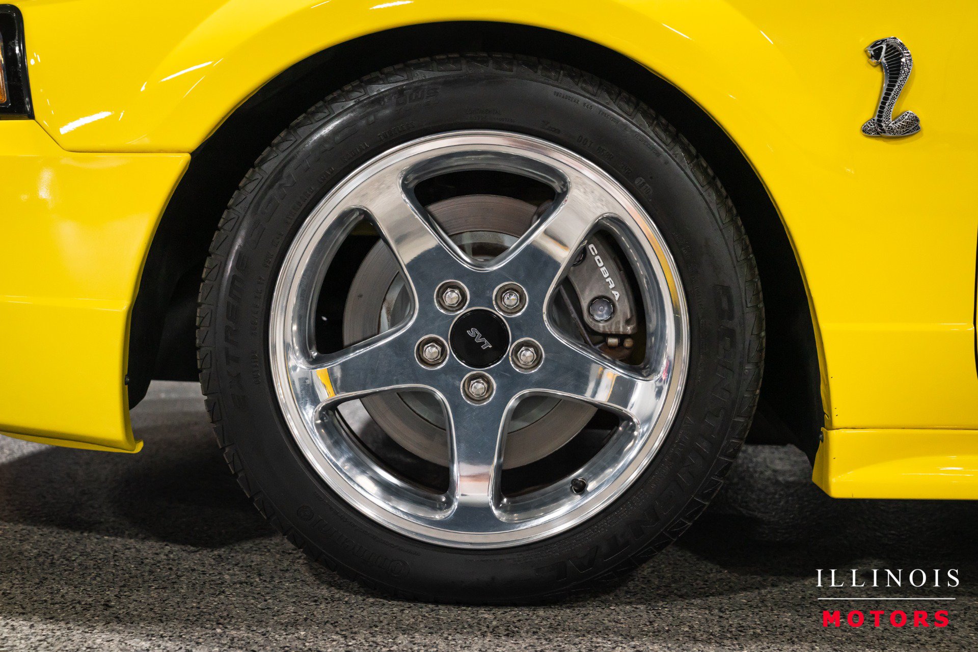 Used 2001 Ford Mustang Cobra RWD image 9