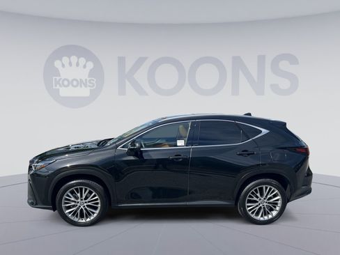 Used 2025 Lexus NX 350 AWD w/ Accessory Package (2T) image 13