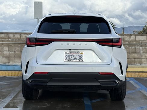 Certified 2025 Lexus NX 250 250 Premium image 10