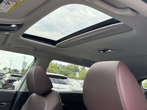 Used 2023 Kia Seltos SX w/ SX Sunroof Package AWD/4WD image 16