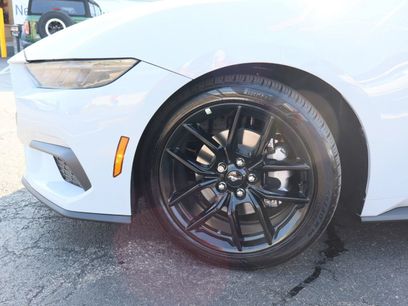 New 2026 Ford Mustang Premium w/ Mustang Nite Pony Package