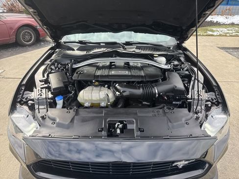 Certified 2021 Ford Mustang GT Premium w/ Equipment Group 401A image 43