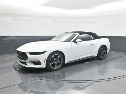 New 2025 Ford Mustang Premium