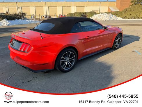 Used 2015 Ford Mustang Premium image 6
