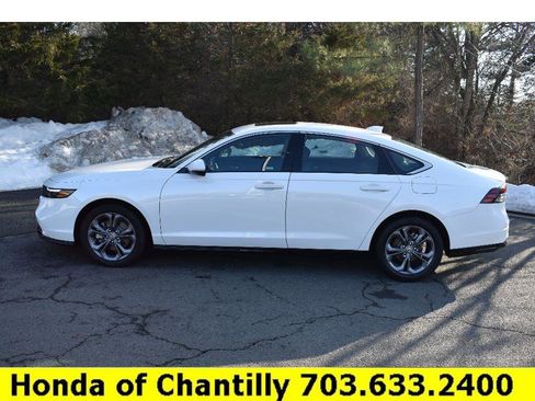 Certified 2025 Honda Accord EX-L image 4