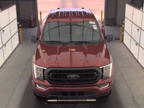 Used 2023 Ford F150 XLT w/ Equipment Group 302A High image 2