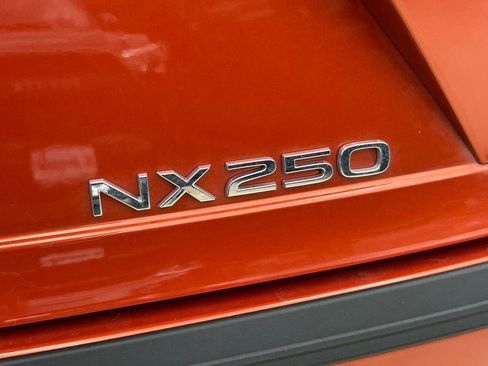 Used 2024 Lexus NX 250 FWD w/ Cold Area Package image 14
