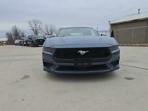 Used 2025 Ford Mustang Premium w/ Wheel & Stripe Package image 2