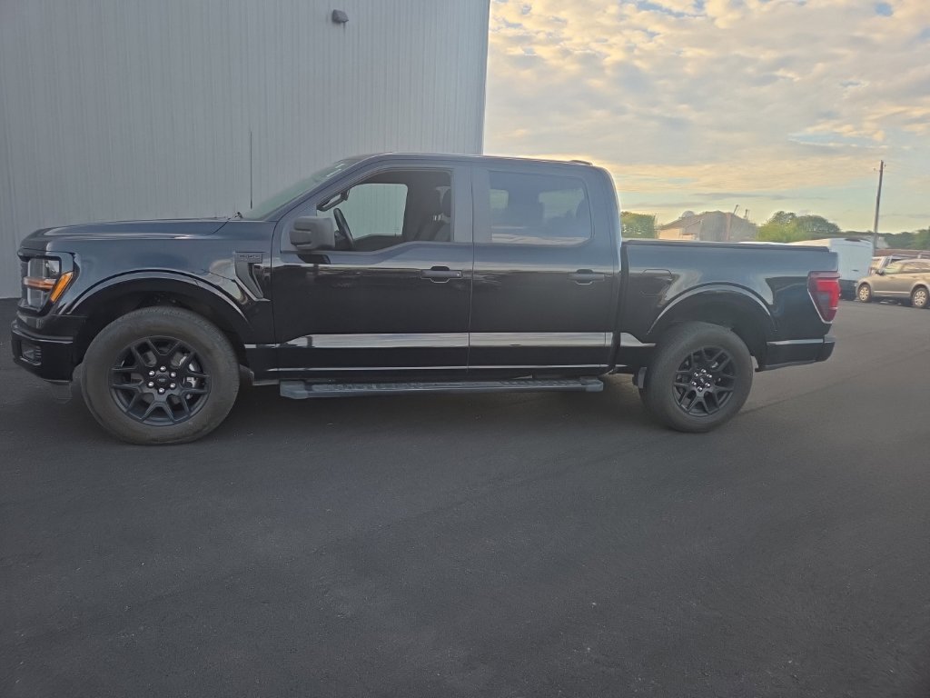 Used 2024 Ford F150 STX w/ STX Black Appearance Package RWD image 5