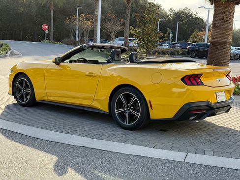 Used 2024 Ford Mustang Premium image 12