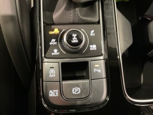 New 2025 Kia Telluride EX image 12