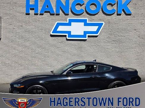 Certified 2020 Ford Mustang GT Premium w/ Ford Safe & Smart Package RWD image 1