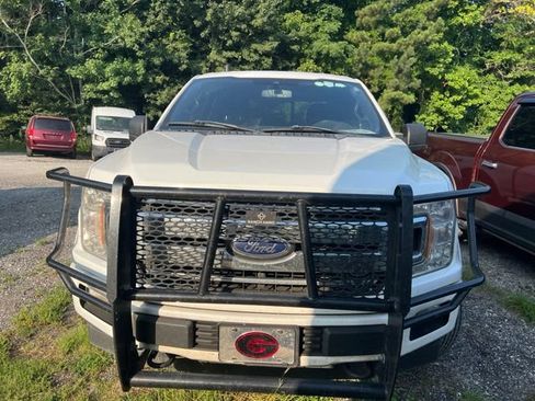 Used 2019 Ford F150 XLT w/ Equipment Group 302A Luxury AWD/4WD image 6