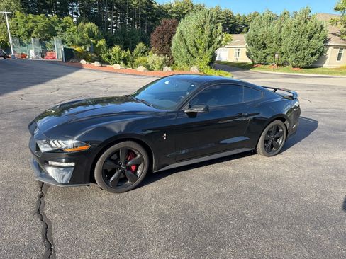 Used 2019 Ford Mustang Coupe w/ Ecoboost Performance Package RWD image 1
