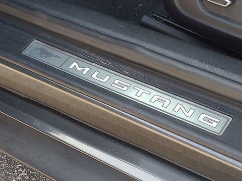 Used 2019 Ford Mustang Premium w/ Equipment Group 201A image 33