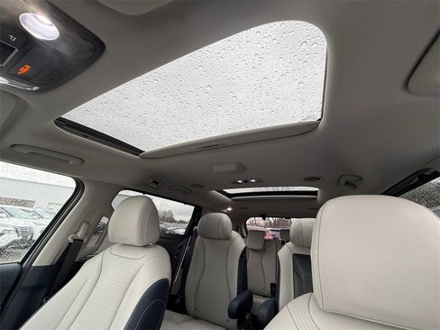 New 2026 Kia Carnival SX Prestige image 29