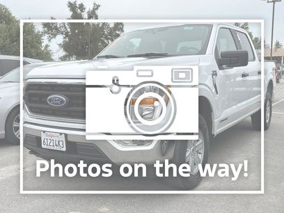 Certified 2021 Ford F150 XLT