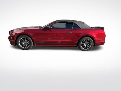 Used 2014 Ford Mustang Premium w/ Equipment Group 203A