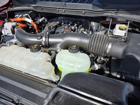 Used 2025 Ford F150 XLT w/ Equipment Group 301A Standard AWD/4WD image 24