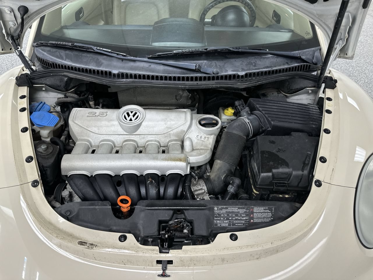 Used 2009 Volkswagen Beetle S FWD image 17