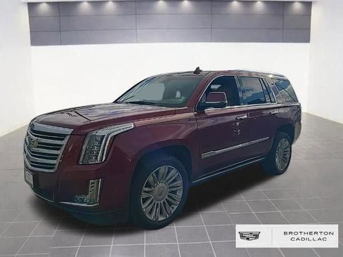 Used 2019 Cadillac Escalade Platinum image 1