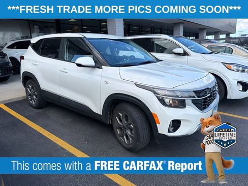 Used 2024 Kia Seltos LX AWD/4WD image 3