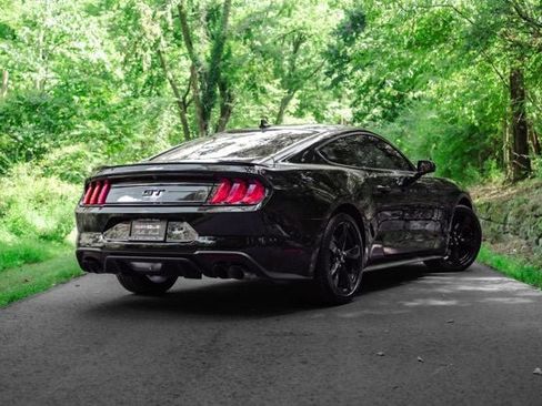 Used 2023 Ford Mustang GT Premium w/ Mustang Nite Pony Package RWD image 9