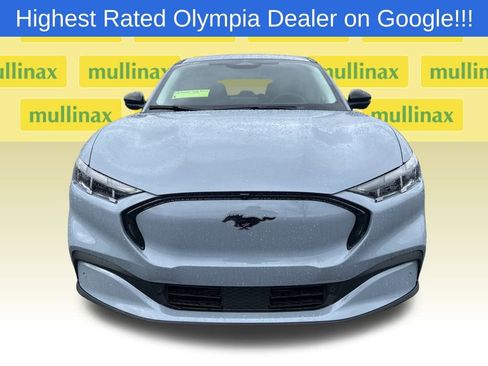 New 2025 Ford Mustang Mach-E Premium w/ Interior Protection Package image 10