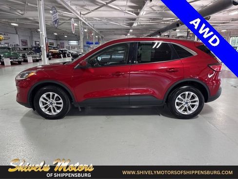 Used 2020 Ford Escape SE image 2