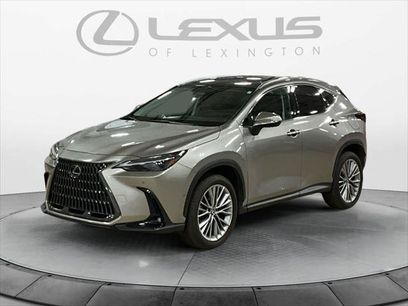 Certified 2025 Lexus NX 350h AWD w/ Cold Area Package