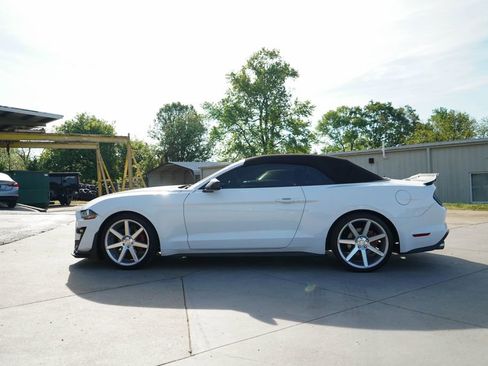 Used 2019 Ford Mustang Premium image 17