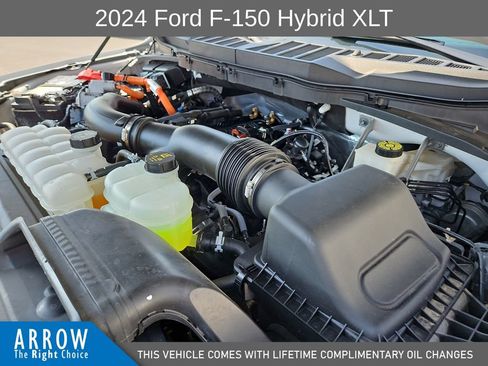 Used 2024 Ford F150 XLT w/ Equipment Group 302A MID AWD/4WD image 15