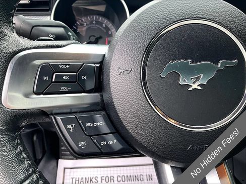 Used 2019 Ford Mustang Coupe w/ Equipment Group 101A RWD image 12