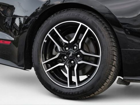 Used 2019 Ford Mustang GT Premium RWD image 47