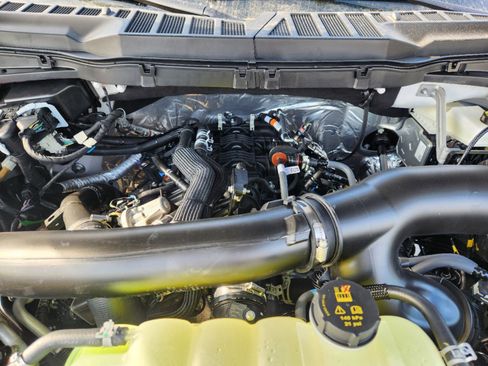 New 2025 Ford F150 XLT w/ Equipment Group 303A High image 22